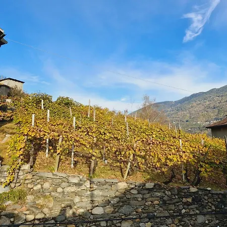 Lejlighed Quigna 29 Tresenda